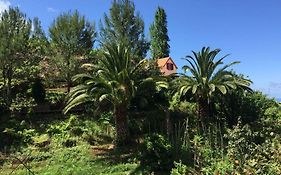 Casa D'Olivia