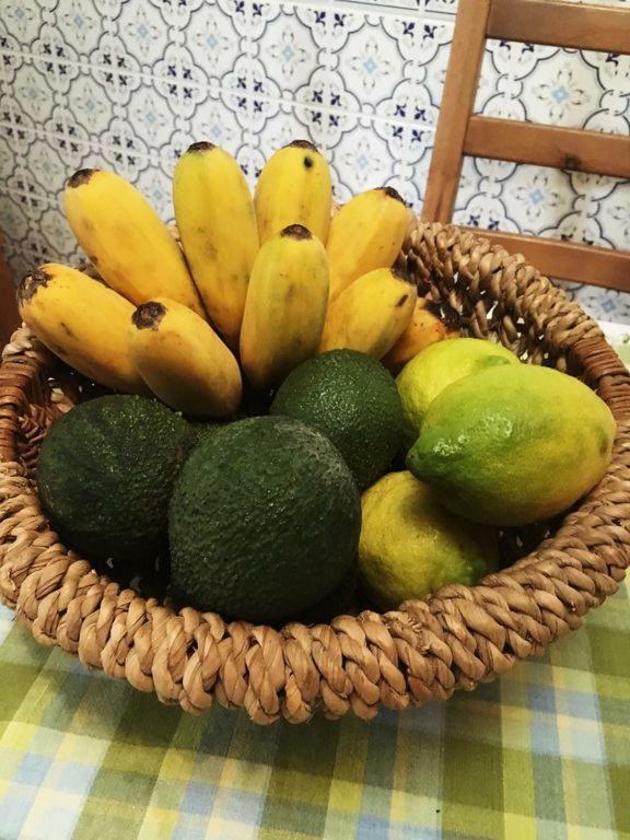 Willa Casa D'Olivia Porto Da Cruz Zewnętrze zdjęcie