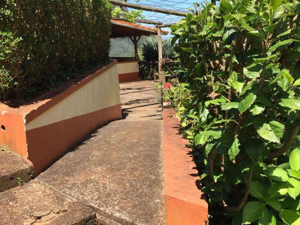 Willa Casa D'Olivia Porto Da Cruz Zewnętrze zdjęcie
