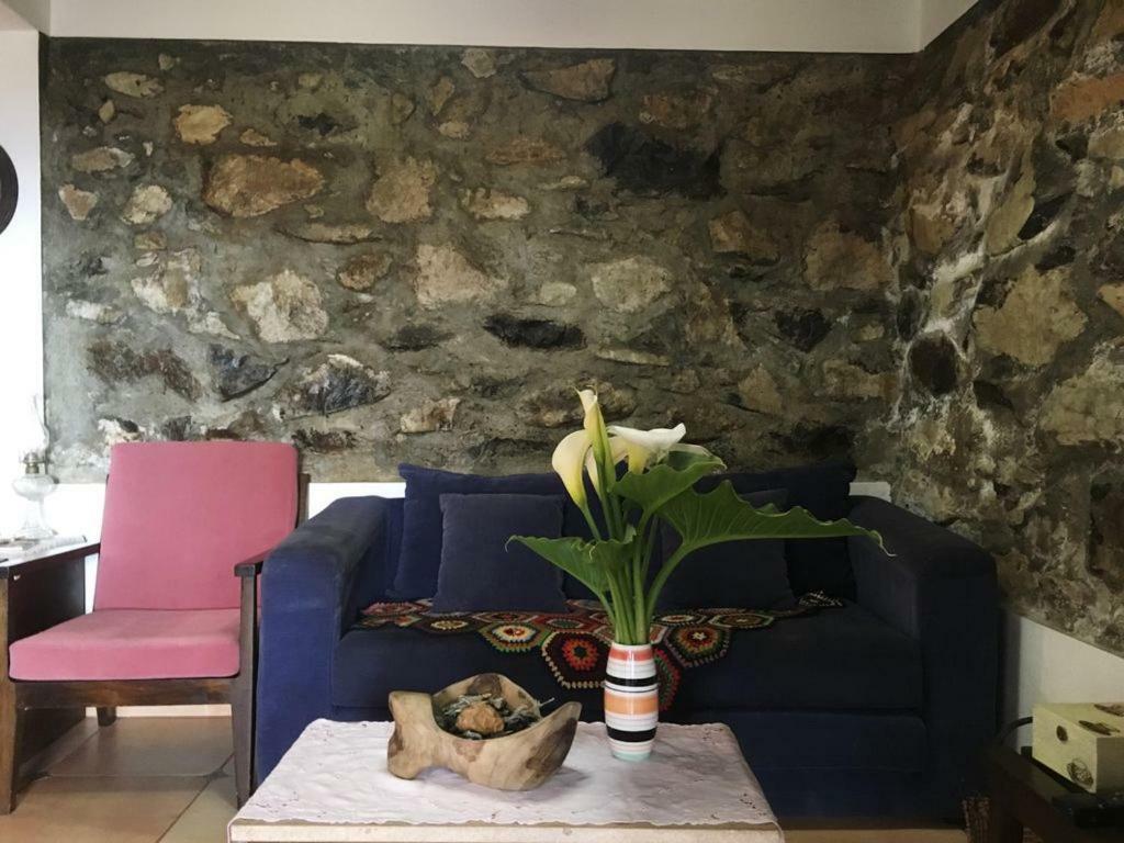 Willa Casa D'Olivia Porto Da Cruz Zewnętrze zdjęcie