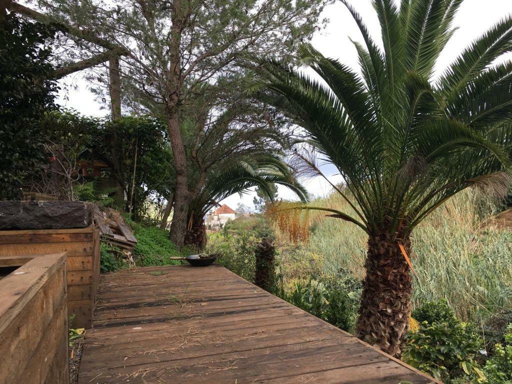 Willa Casa D'Olivia Porto Da Cruz Zewnętrze zdjęcie